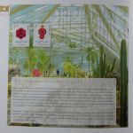 China Airda-Sammlung im Buch #AAA36