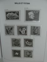 Wallis & Fortune Davo Vordruck ab Anfang-1963 (leer) im Davo-Album #MA477