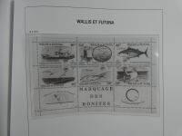 Wallis & Fortune Davo Vordruck ab Anfang-1963 (leer) im Davo-Album #MA477