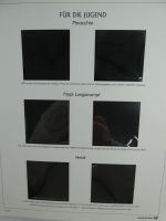 BRD Bund Post-Text 2001-2002 im Post Binder #MA479