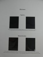 BRD Bund Post-Text 2005-2006 im Post Binder #MA481
