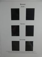 BRD Bund Post-Text 2005-2006 im Post Binder #MA481