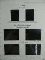 BRD Bund Post-Text 2007-2008 im Post Binder #MA482
