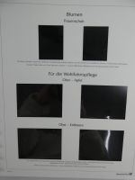 BRD Bund Post-Text 2009-2010 im Post Binder #MA483