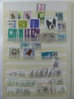 Polen/Tschecheslowakei Lagerbuch im Einsteck Album #MA494
