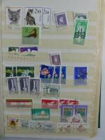 Polen/Tschecheslowakei Lagerbuch im Einsteck Album #MA494