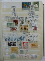 Polen/Tschecheslowakei Lagerbuch im Einsteck Album #MA494