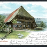 AK Baden Baden Schwarzwaldhaus 1903 gebraucht #JS180