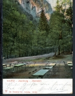 AK Ilsenstein LK Harz Biergarten am Ilsenstein 1905 gebraucht #IN779