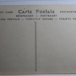 AK Timgad Marché Arabe (tous les jeudis) ungebraucht #PC751