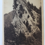 AK Ilsenburg (Harz) Ilsenstein ungebraucht #PD321