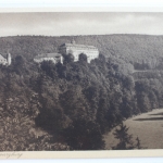 AK Schwarzburg Schloss mit Hirschwiese ungebraucht #PD329