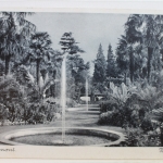 AK Bad Pyrmont Palmengarten 1942 gebraucht #PD371