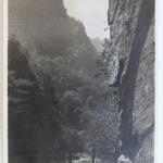 AK Treseburg Harz - Am Waldkater gebraucht #PD383