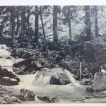 AK Ilsenburg (Harz) Ilsefälle am Bremerweg ungebraucht #PD389