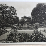 AK Komotau Rosenhain im Park ungebraucht #PD731