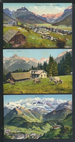 Ansichtskarte Schweiz Engelberg Sammlung Lot 3 Karten Berge Bergsteigen Sport