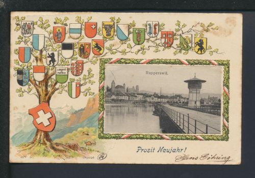 Ansichtskarte Rapperswil Schweiz Wappenbaum geprägt Neujahr Memmingen Bayern