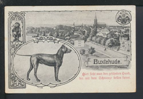 Ansichtskarte Buxtehude Niedersachsen Tiere Hund Igel