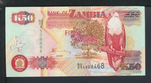 Geldscheine Banknoten Sambia Afrika 50 Kwacha 2009 I UNC Vögel Greifvogel