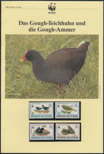WWF Tristan da Cunha 513-516 Vögel Teichhuhn und Ammer kpl. Kapitel bestehend