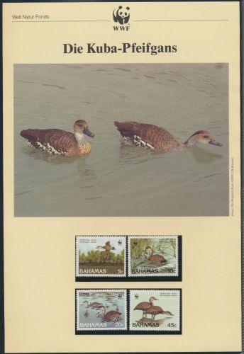WWF Bahamas 672-675 Tiere Vögel Pfeifgans kpl. Kapitel bestehend