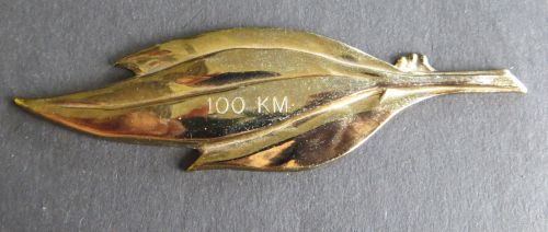 Brosche EVG goldfarben 11 x 3,2 cm 100 KM Sportauszeichnung