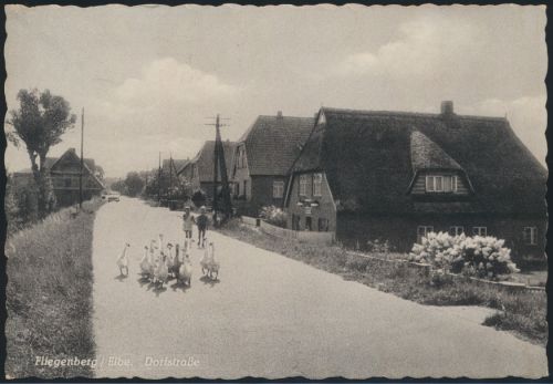 Ansichtskarte Foto Fliegenberg Elbe Dorfstraße Gänse Vögel Kinder nach Hamburg