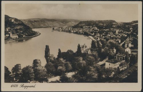 Ansichtskarte Foto Boppard Panorama Rhein