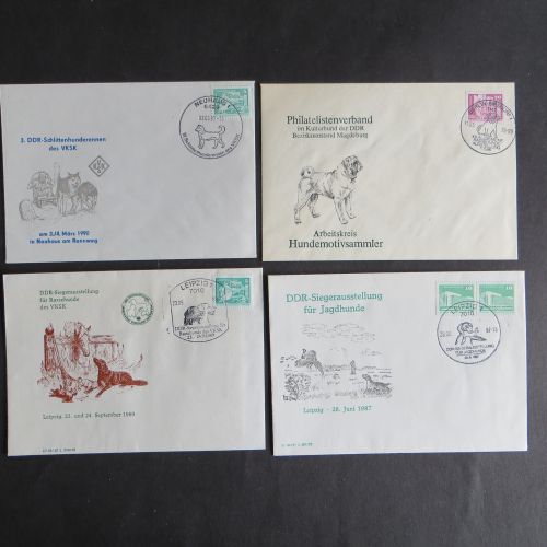 Briefe und Karten Sammlung Motiv Hunde DDR mit inter. Vielfalt Festpreis 25,00