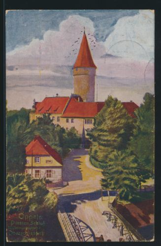 Ansichtskarte Oppeln Schloß Abstimmungsgebiet Ober Schlesien nach Ilmenau