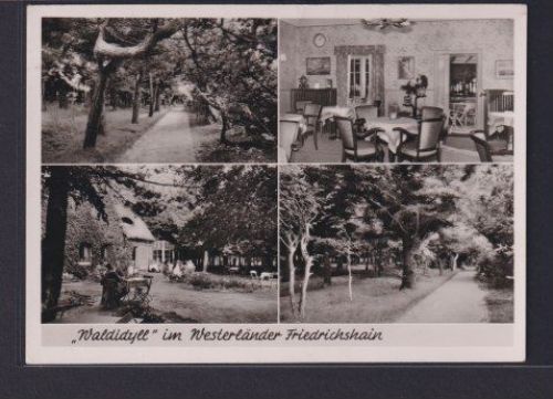 Ansichtskarte Friedrichshain Schleswig Holstein Westerland Sylt Cafe Waldidyll