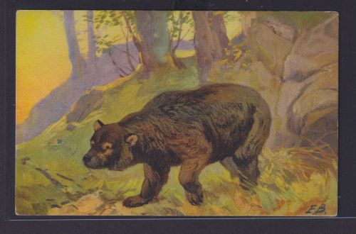 Ansichtskarte Tiere Bären Künstlerkarte Sign. E.B. Bär im Wald