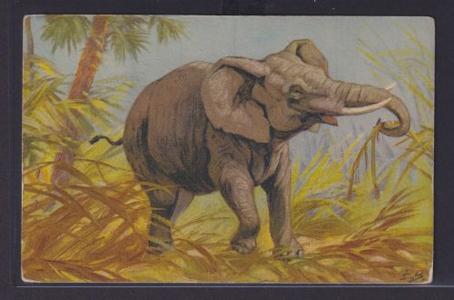 Ansichtskarte Elefant Tiere Künstlerkarte Sign. E.B.