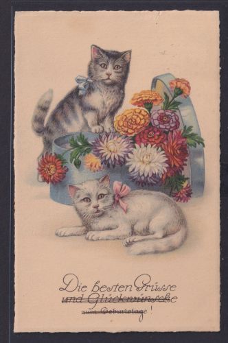 Ansichtskarte Künstlerkarte Katzen Blumenschmuck Geburtstag ab Hamburg