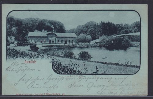 Ansichtskarte KünstlerkarteVerlag Aumühle Haus See Boote Landschaft Wald