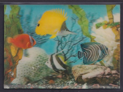 3 D Color Ansichtskarte Fische Aquarium Wasserpflanzen Printing Studio Zürich