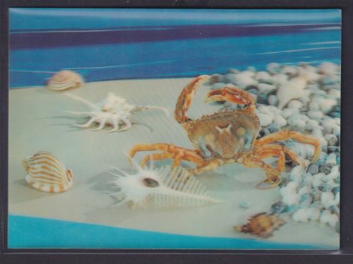 3 D Color Ansichtskarte Wassertire Muscheln Krebse