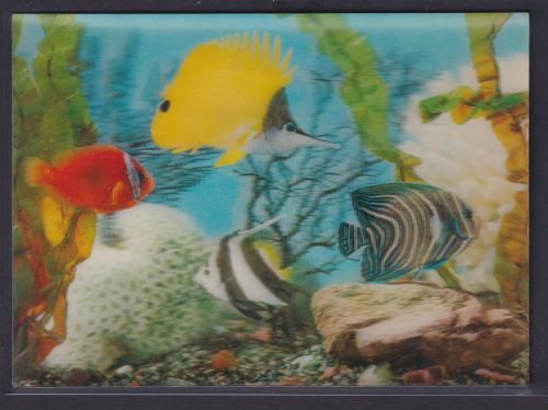 3 D Color Ansichtskarte Fische Meer Meerpflanzen nach Berlin. 08.10.1969