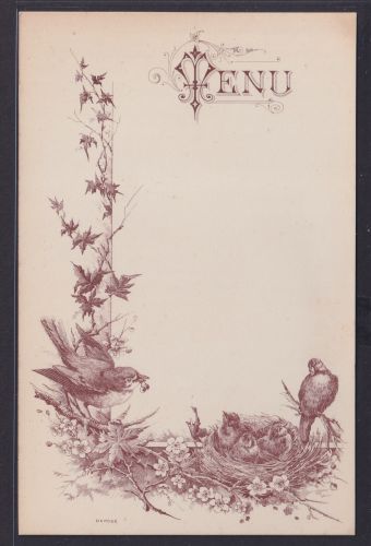 Menu Karte Motiv Tiere Vögel