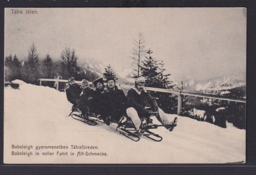 Ansichtskarte Bobfahrt Schlitten Wintersport Schneelandschaft Winter Berge Gaudi