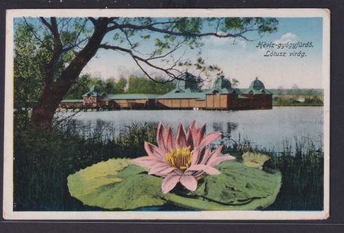 Ansichtskarte Künstlerkarte Heviz Ungarn See Landschaft Seerose nach Wien