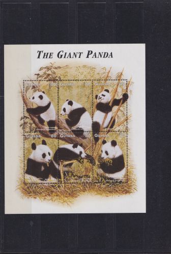 Guyana Übersee Block Briefmarken Tiere Der Große Panda Luxus postfrisch