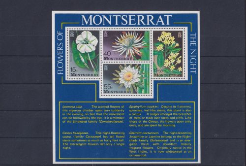 Montserrat Übersee Block Briefmarken Blumen der Nacht Luxus postfrisch