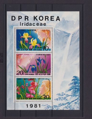 Korea Übersee Block Briefmarken Blumen 1981 Luxus postfrisch