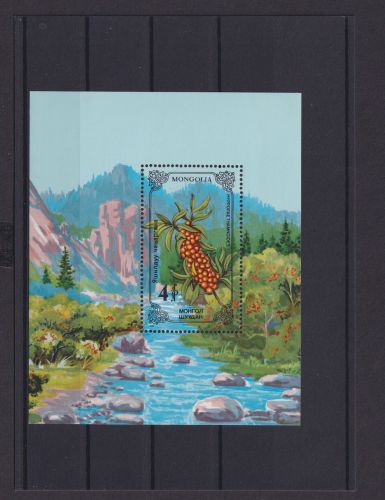 Mongolei Übersee Block Briefmarken Pflanzen Hyppopae Thamnoides Luxus postfrisch