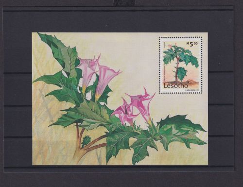 Lesotho Übersee Block Briefmarken Pflanzen Datura Stramonium 1995 Luxus