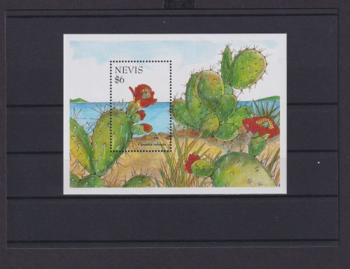 Nevis Karibik Übersee Block Briefmarken Pflanzen Opuntia Robusta Luxus