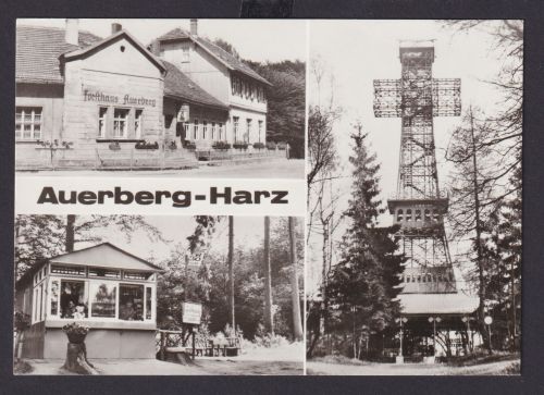 Ansichtskarte Auerberg Harz Sachsen Anhalt Forsthaus Gaststätte Auerberg Kiosk
