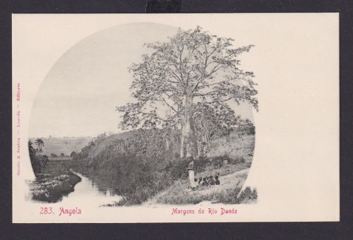 Ansichtkarte Afrika Angola Portugal Kolonien Rio Dante Fluss